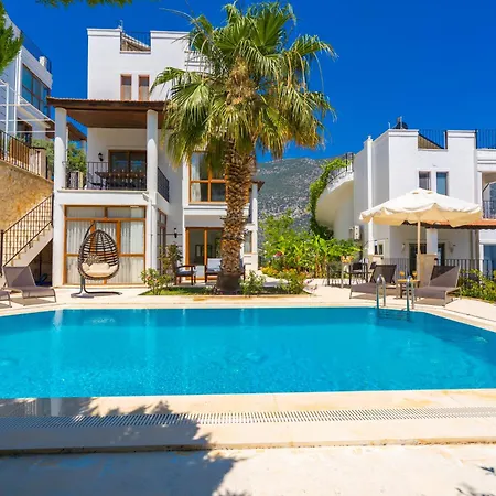 Asya 2 Kalkan