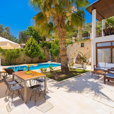 Asya 2 Kalkan